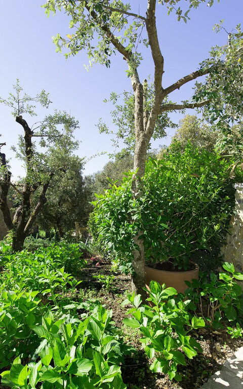 Villa Nova: Eksteriør, Utendørs