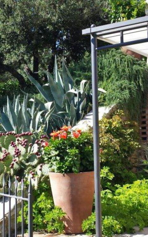 Villa Nova: Eksteriør, Utendørs