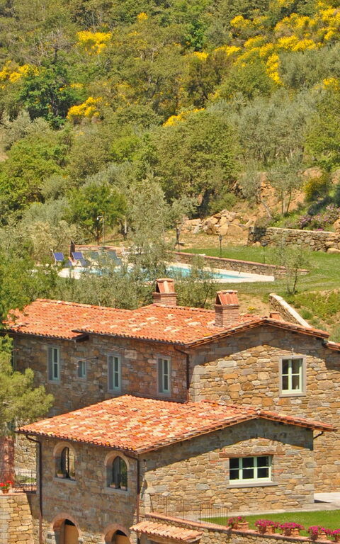 Villa Noceta: Utendørs, Visningar