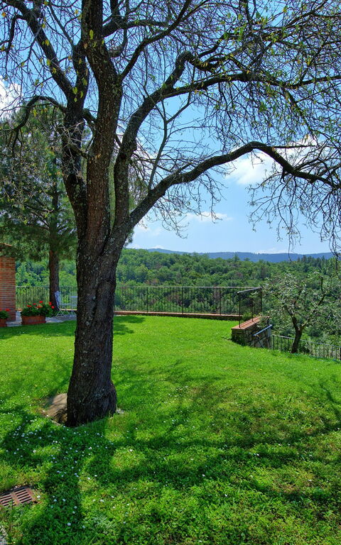 Villa Noceta: Hage, Utendørs