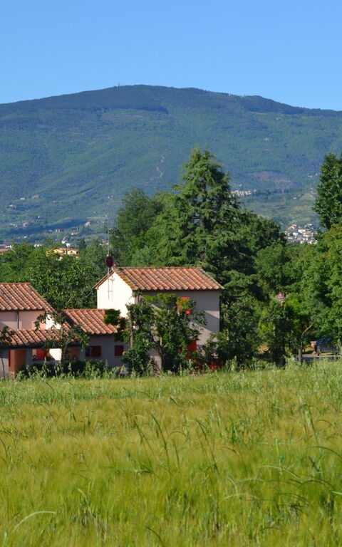 Casa Laura: Visningar