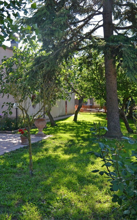 Casa Laura: Hage, Utendørs