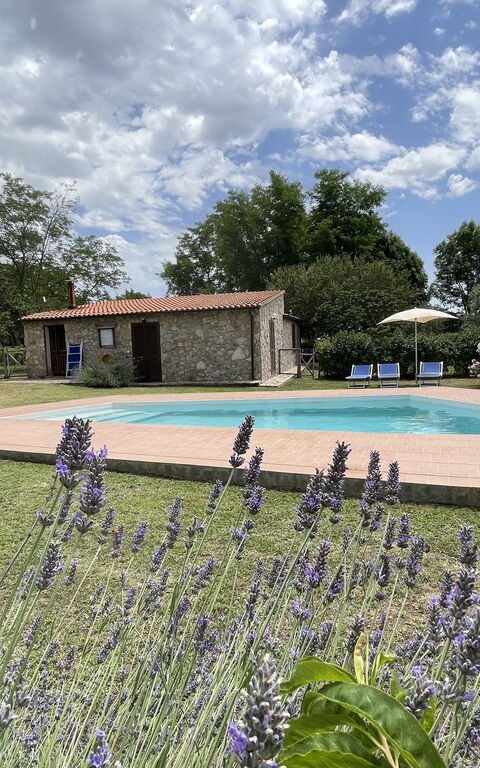 Funghi 1: basseng, Eksteriør, Hage, Utendørs