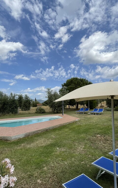 Funghi 1: basseng, Eksteriør, Hage, Utendørs