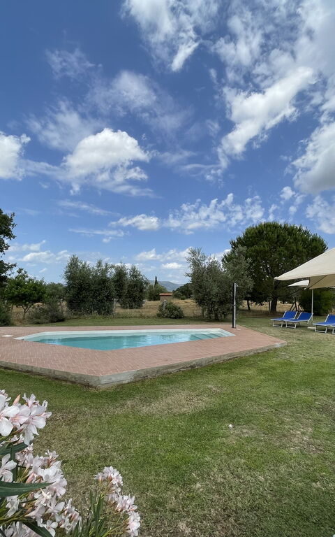 Funghi 1: basseng, Eksteriør, Hage, Utendørs