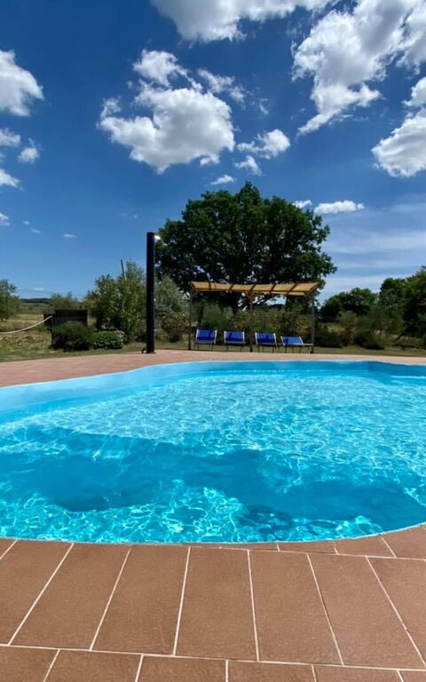 Funghi 2: basseng, Eksteriør, Hage, Utendørs