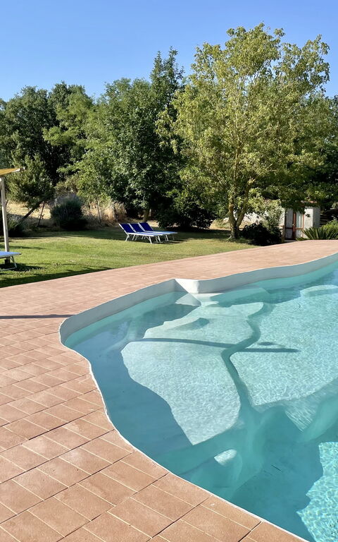 Funghi 2: basseng, Eksteriør, Hage, Utendørs