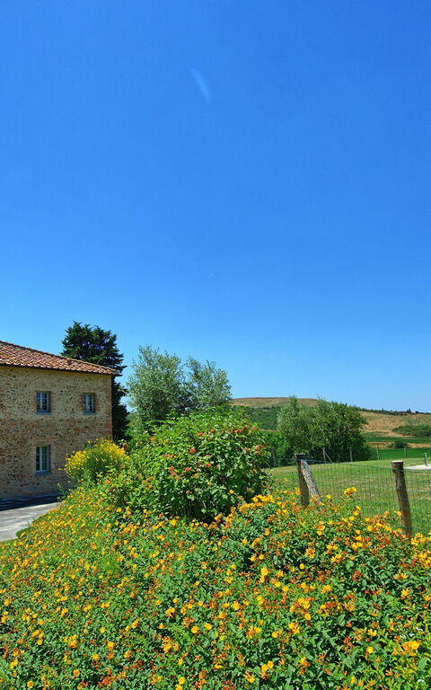 Casale La Valle - Castelfalfi: Hage
