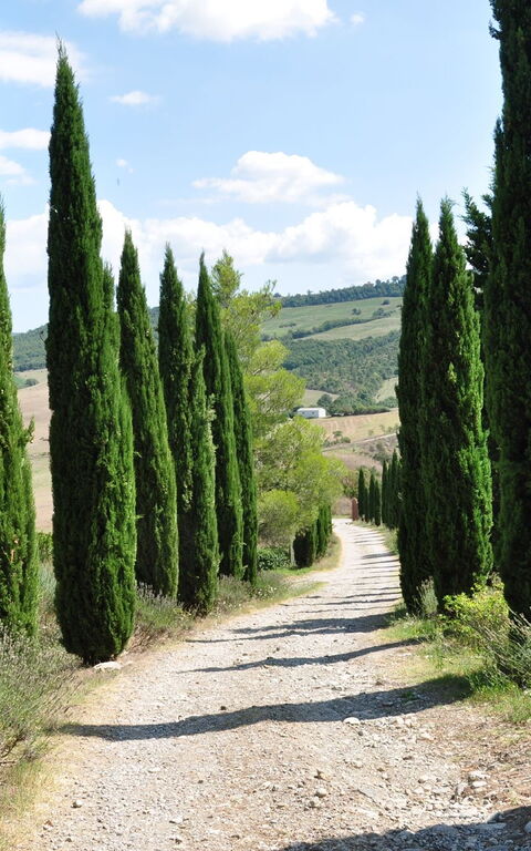 Le Querce Di Campocane: Eksteriør