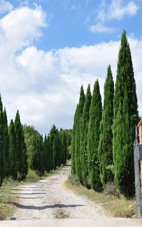 Le Querce Di Campocane: Eksteriør