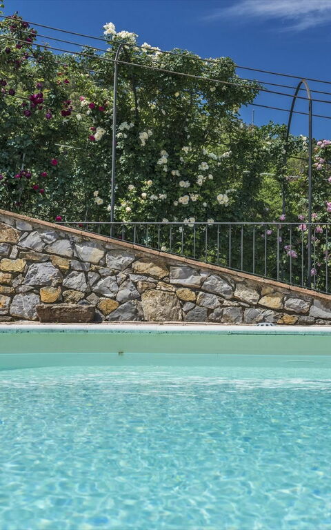 Villa Casalguidi: basseng