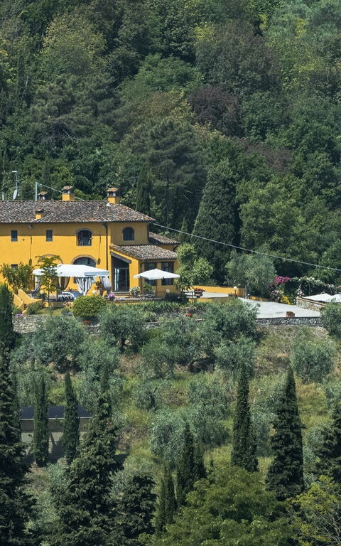 Villa Casalguidi: Hage