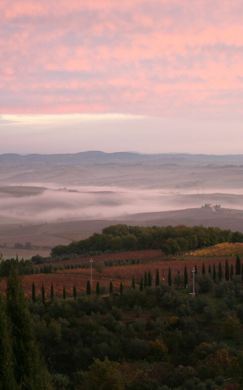 Villa Montalcino: Visningar