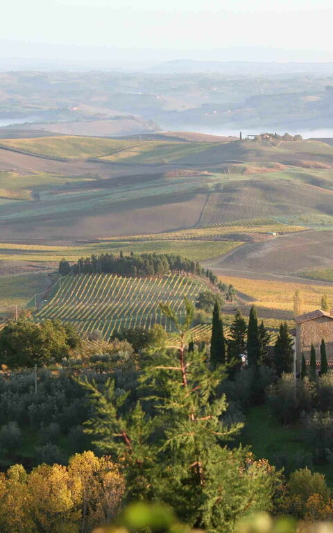 Villa Montalcino: Visningar