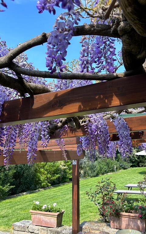 Antico Casale: Balkong / terrasse / uteplass, Eksteriør, Utendørs