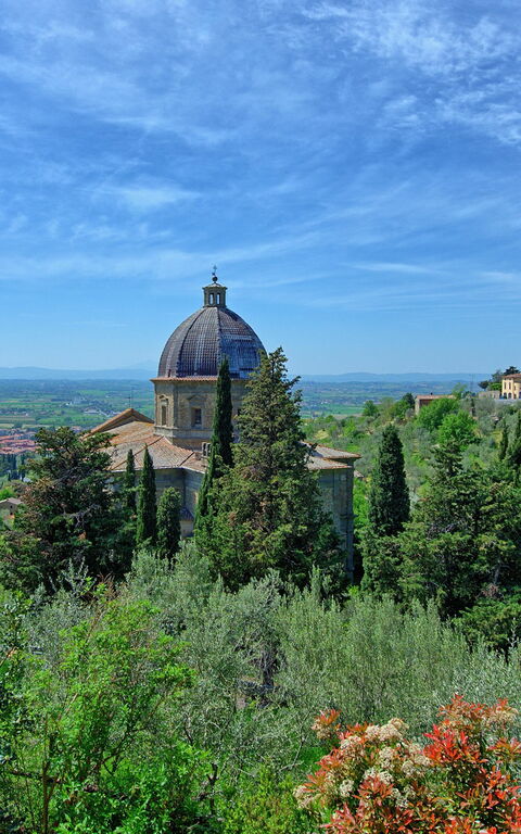 Antico Casale: Hage, Visningar