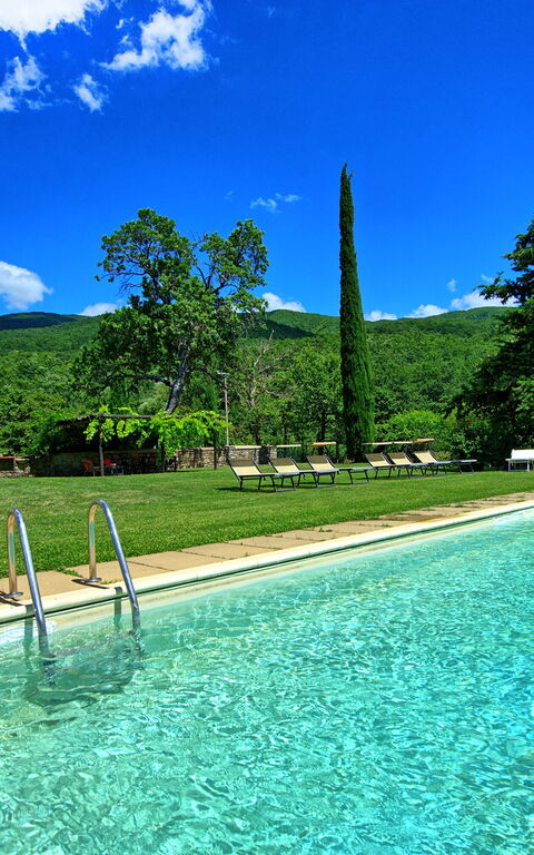 Villa Poggiolino: basseng, Eksteriør, Hage, Utendørs