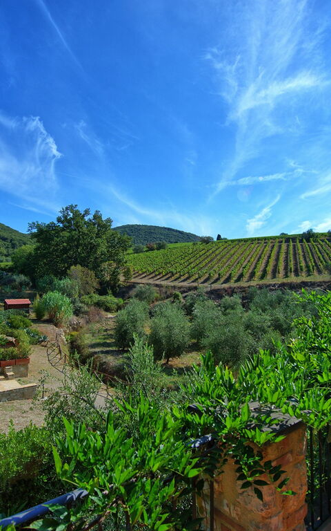 Casa Maria Luisa: Visningar