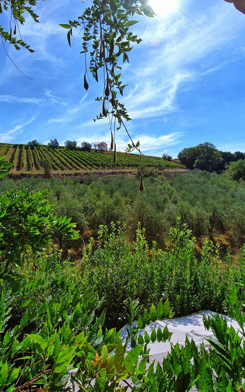 Casa Maria Luisa: Visningar