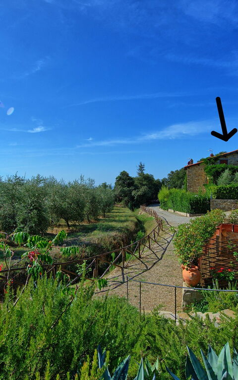 Casa Maria Luisa: Utendørs