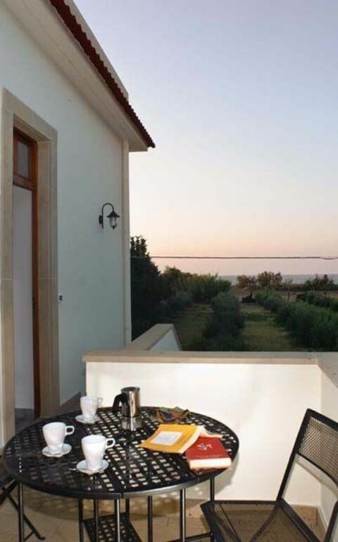 Cicero: Eksteriør, Hage