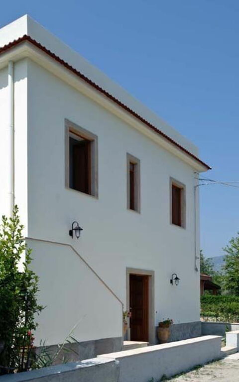 Cicero: Eksteriør, Hage