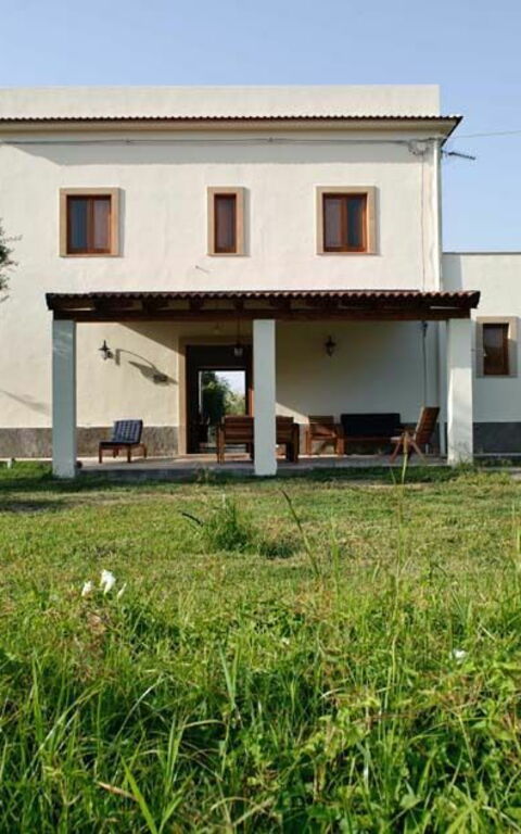 Cicero: Eksteriør, Hage