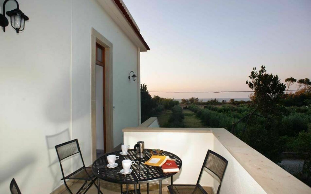 Cicero: Eksteriør, Hage