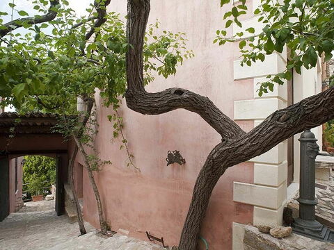 Baglio Maranzano - Titi