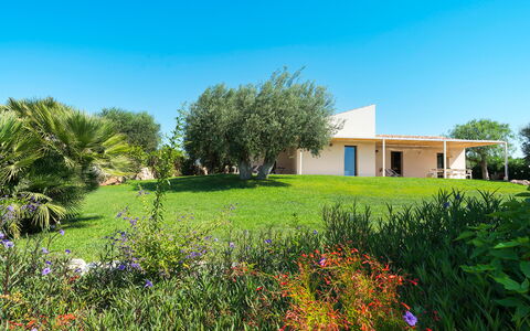 Feriebolig Isla Verde - Ulivi: Eksteriør, Hage, Utendørs