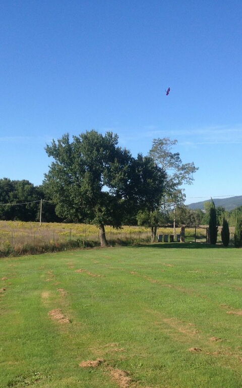 Casa Catia: Hage, Visningar