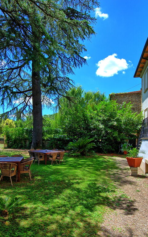 Villa Capolona: Hage, Utendørs