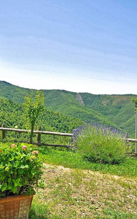 Villa Margherita Uno: Hage