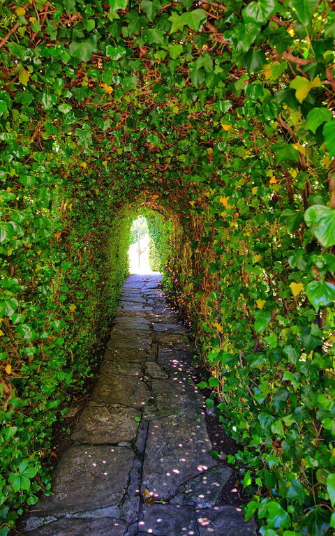 Villa Portole Uno: Hage