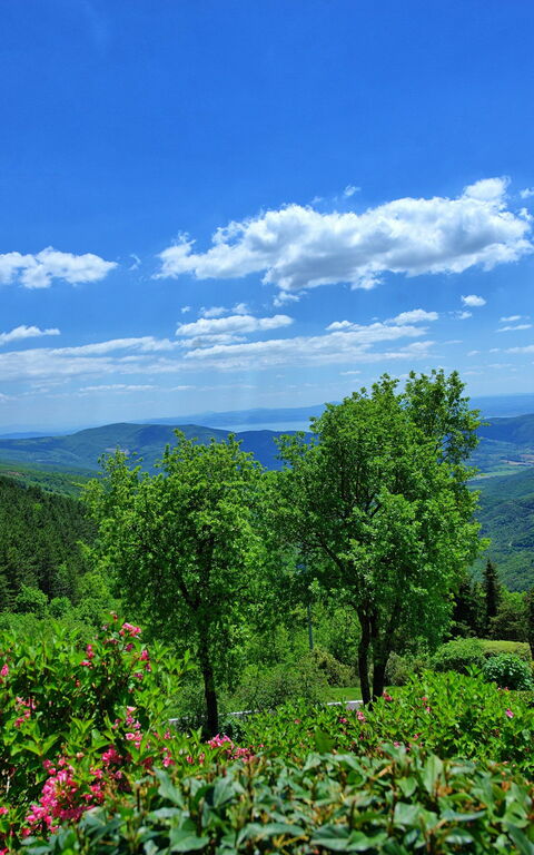 Villa Portole Due: Visningar