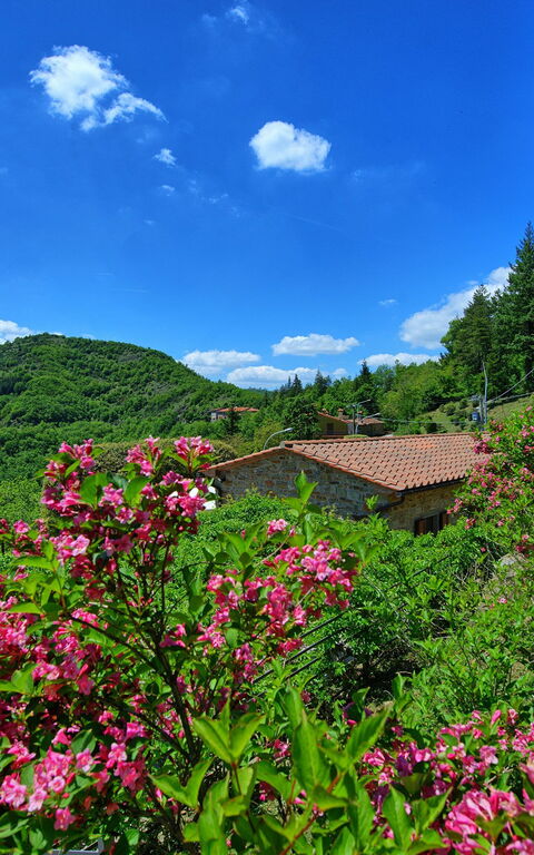 Villa Portole Due: Visningar