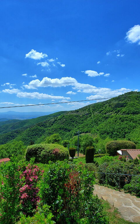 Villa Portole Due: Hage, Visningar