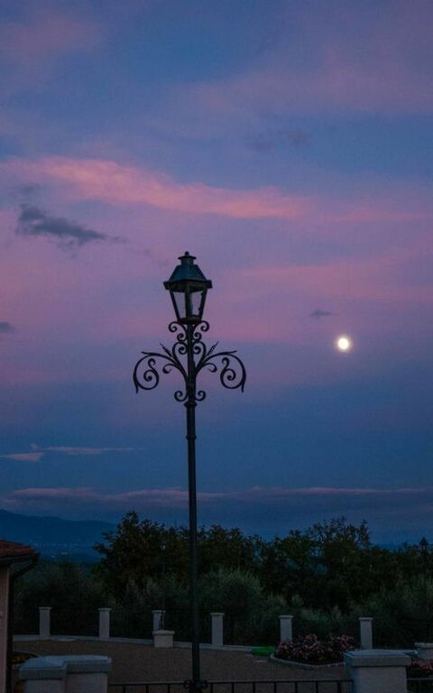 Villa Gaville: Visningar