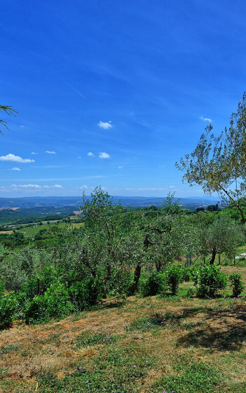 Casa Olivia: Visningar