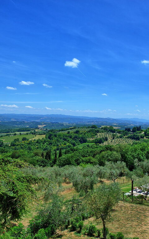 Casa Olivia: Visningar