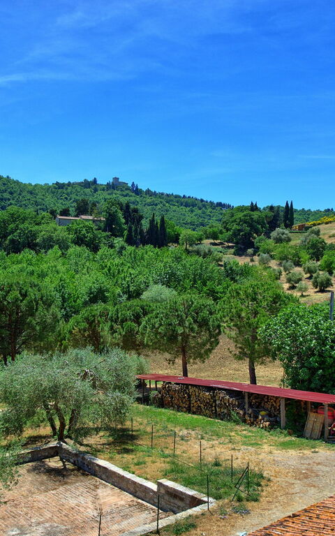 Casa Olivia: Visningar