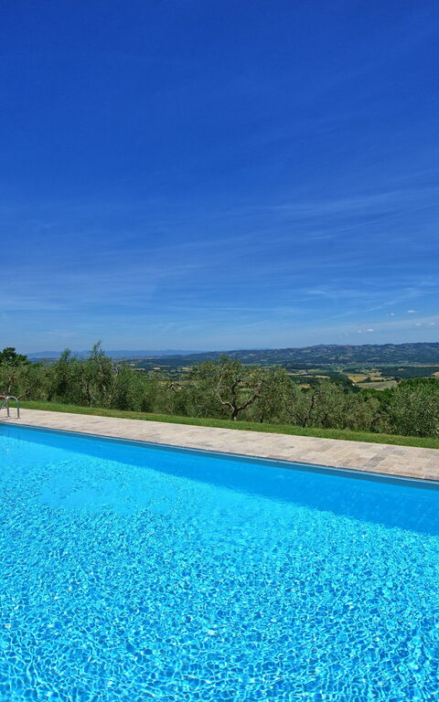 Casa Olivia: basseng