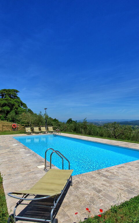 Casa Olivia: basseng, Hage