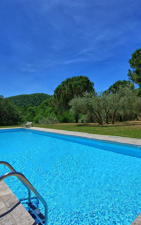 Casa Olivia: basseng