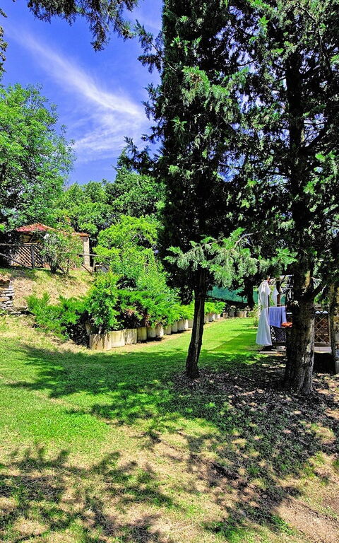 Villa Luciano: Hage