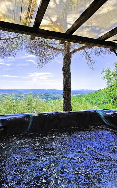 Villa Luciano: basseng