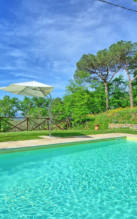 Villa Morandi: basseng