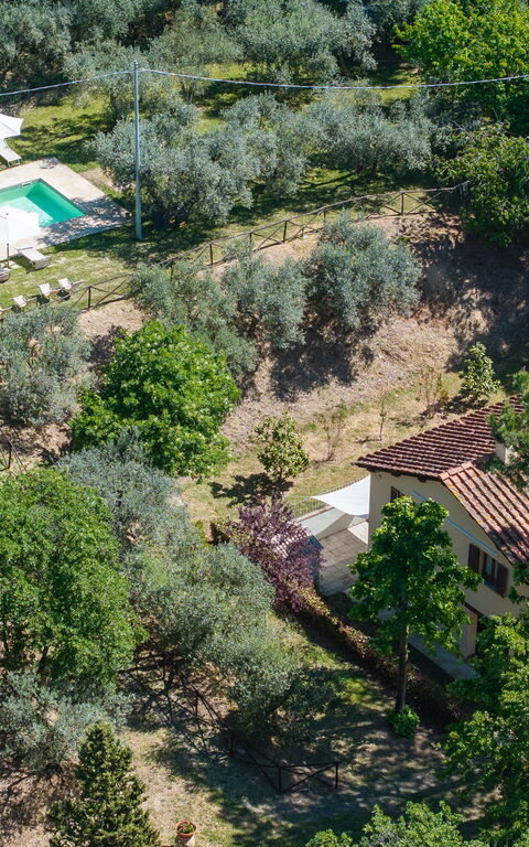 Villa Morandi: Utendørs, Visningar