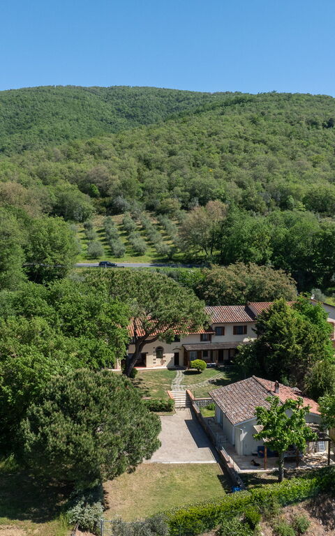 Villa Morandi: Utendørs, Visningar