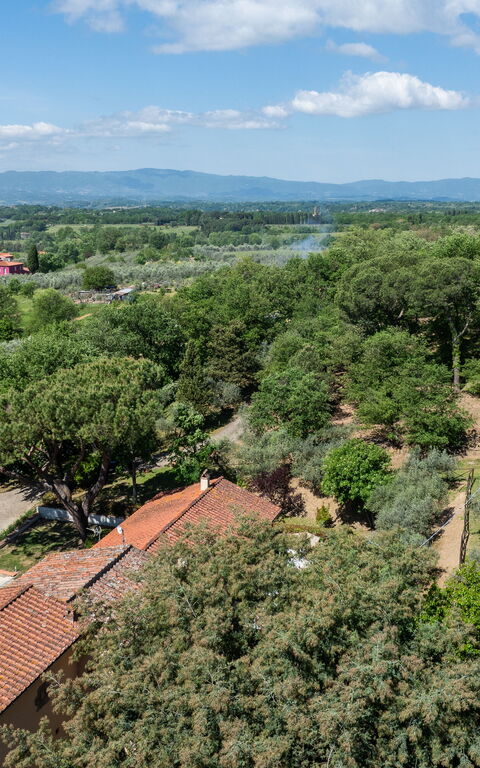 Villa Morandi: Utendørs, Visningar